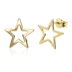 Silver Earrings Star Earrings - 11 mm - Gold Plated and Rhodium Silver