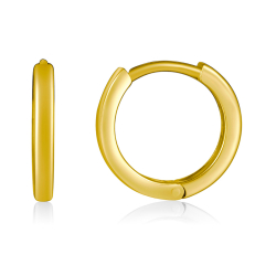 Silver Earrings Hoop Earrings - 12mm - Gold Plated and Rhodium Silver