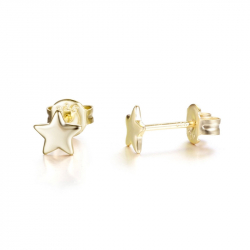 Ohrringe Glattes Silber Ohrringe Stern - 2, 2,5 und 5 mm- Vergoldet und rhodiniertes Silber
