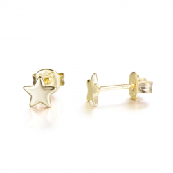 Pendiente Plata Lisa Pendientes Estrella - 2, 2.5 y 5mm- Bañado Oro y Plata Rodiada