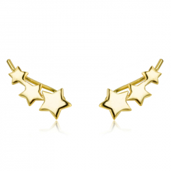 Ohrringe Glattes Silber Ranken-Ohrringe - Stern 13 mm - Vergoldet und rhodiniertes Silber