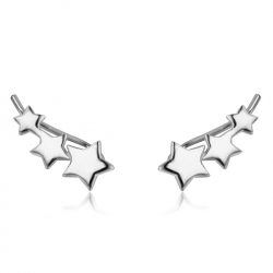 Ohrringe Glattes Silber Ranken-Ohrringe - Stern 13 mm - Vergoldet und rhodiniertes Silber