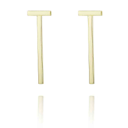 Silver Earrings Stick Earrings - 30 mm