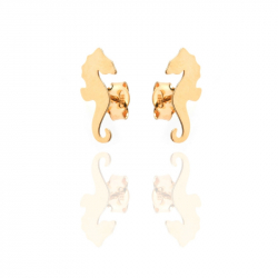 Ohrringe Glattes Silber Ohrringe Silber - Seepferdchen