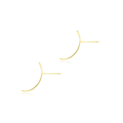 Silver Earrings Curved Stick Earrings - 20 mm