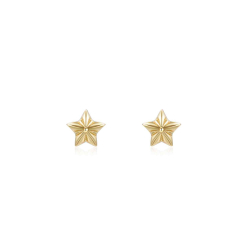 Silver Earrings Earrings Stud Star 4*4mm