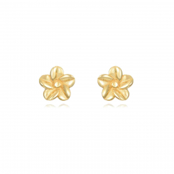 Boucles D'Oreilles Argent Lisse Boucle d'oreille Argent - Fleur - Dorure Or