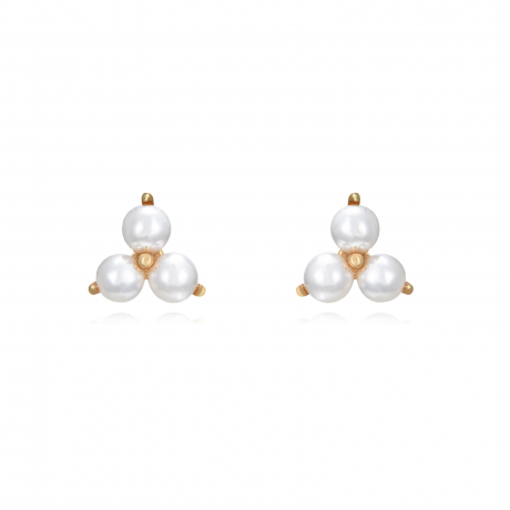 plata_1