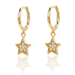 Silver Zircon Earrings Zirconia Earrings - Star