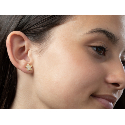 Silver Zircon Earrings Zirconia Earrings - Starfish