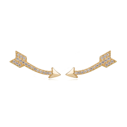 Silver Zircon Earrings Zirconia Earrings - Arrow 20