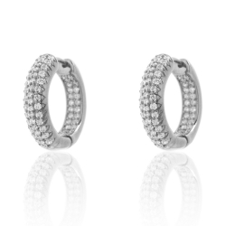 Silver Zircon Earrings Ref. 12020120 - Silver Plated Rose