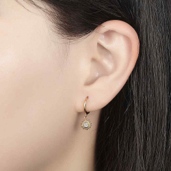 Silver Zircon Earrings Zirconia Earrings - Sun