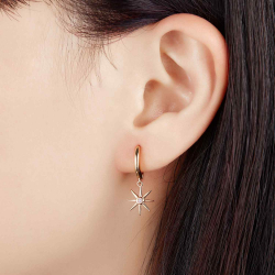 Silver Zircon Earrings Zirconia Earrings - Star