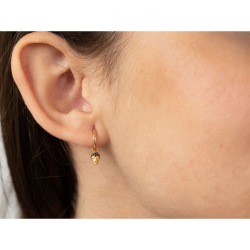Silver Zircon Earrings Hoop Earrings - Skull - Zirconia