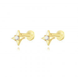 Silver Zircon Piercings Piercing Zircon - Star 5,5mm - Gold Plated and Rhodium silver