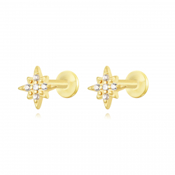 Silver Zircon Piercings Piercing Zircon - Star 6*4mm - Gold Plated and Rhodium silver