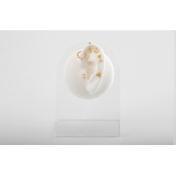 Pendiente Piercing Piercing Plata Circonita Marqués - Hoja - 5,3 mm - Bañado Oro y Plata Rodiada