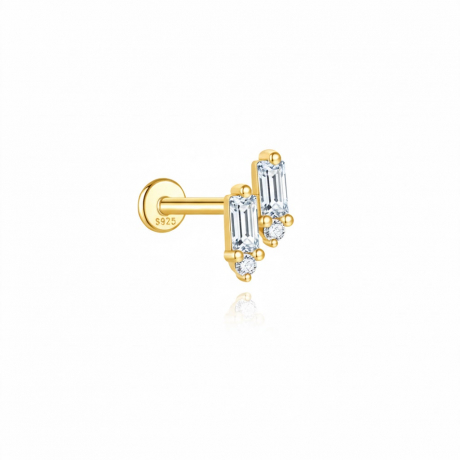 plata_1