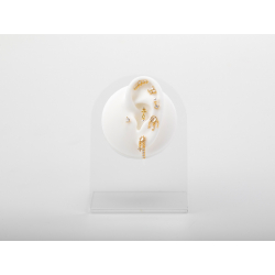 Ohrringe Piercing Piercing Silber Zirkonia - Blume - 5,75 mm - Vergoldet und Rhodiniertes Silber