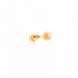 Piercings Acier Lisse Piercing Serpent - 5,5 mm - Dorure Or et Acier