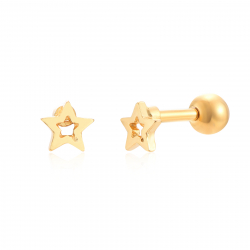 New Arrivals Piercing Star  - 5 mm - Steel Gold Plated