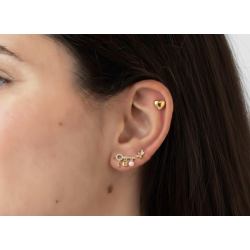 Novedades Piercings Acero - Corazón 5mm - Bañado Oro