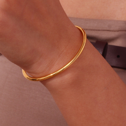 Steel Bracelets Bracelet Steel - Bangle 56 mm - Gold Color and Steel