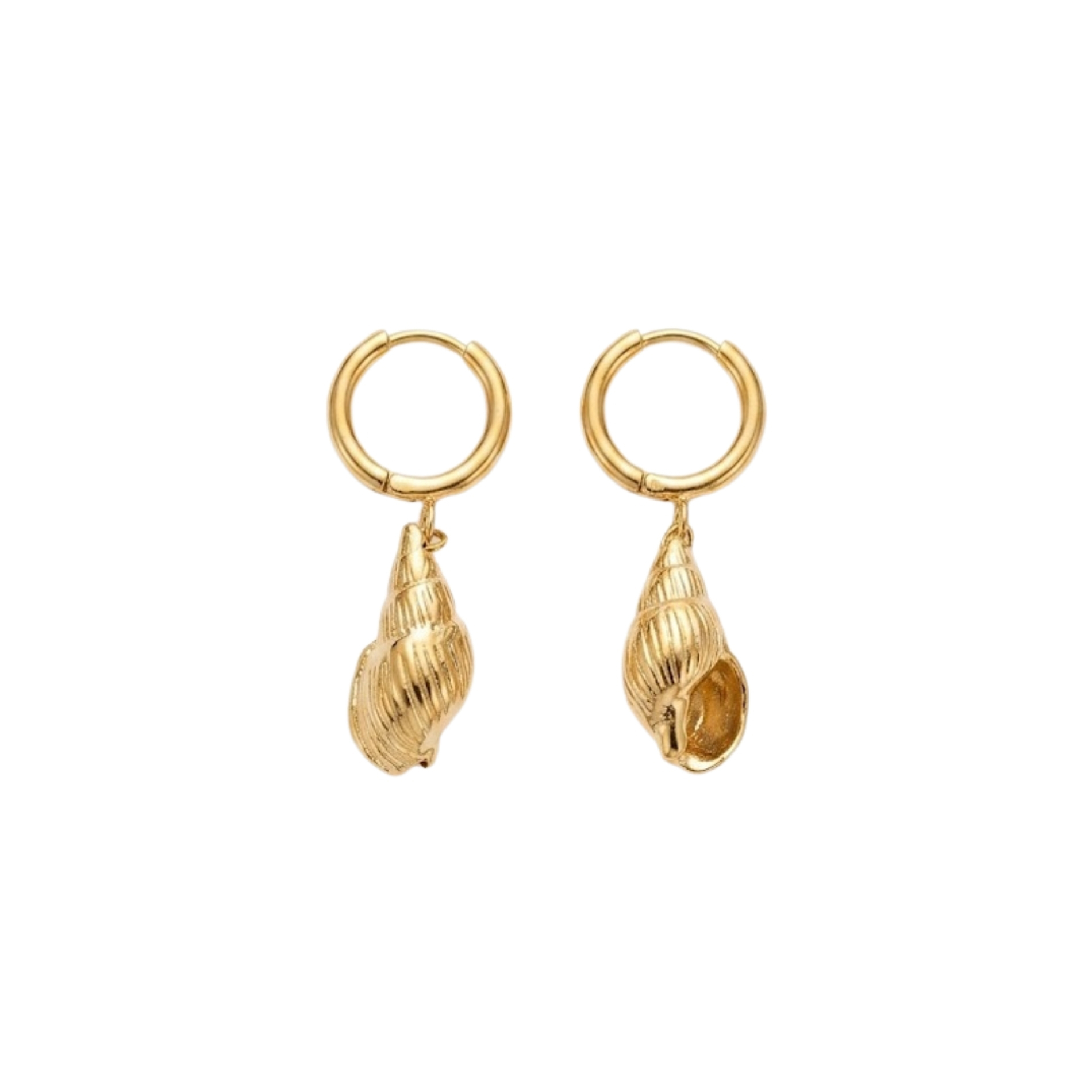 Cadena Plata Mineral Pendiente Acero Liso - Caracola - Diseño - 37 mm - Color Oro y Color Acero