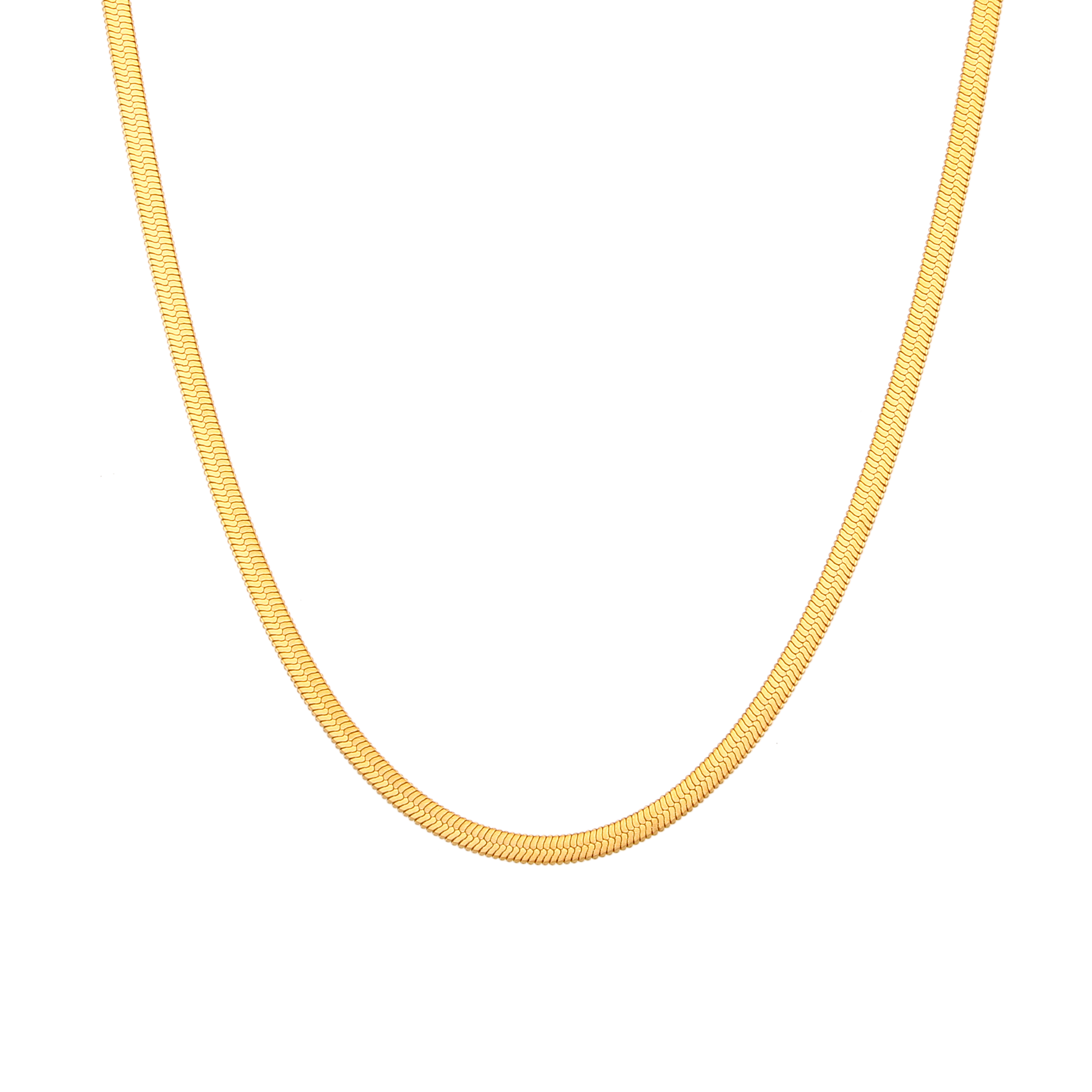 Collar Acero Liso Collar Acero - 3 mm Herryingbone - 32+6 cm, 38+4 cm, 42 cm y 48 cm - Color Oro
