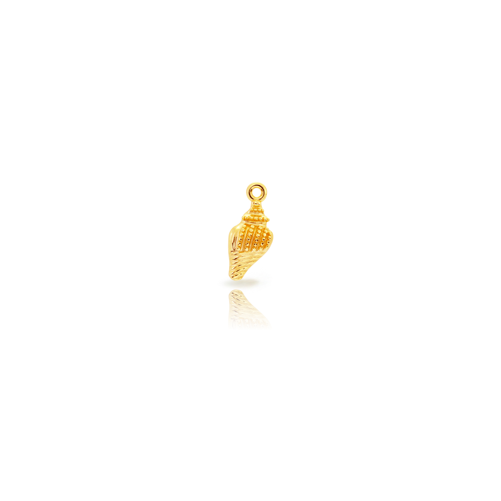 CHL0298